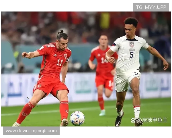 全面解读世界杯欧洲区附加赛晋级规则与比赛流程，助你了解赛事背后隐藏的奥秘